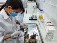Định lượng và xác định khả năng sản sinh men kháng kháng sinh β-lactamases phổ rộng ESBL của vi khuẩn Vibrio parahaemolyticus trong hải sản