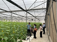 Khảo sát thực trạng ứng dụng và chuyển giao khoa học công nghệ của HTX trên địa bàn huyện Yên Dũng, tỉnh Bắc Giang